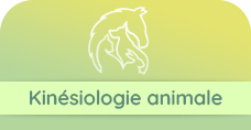 Kinesiologie animale