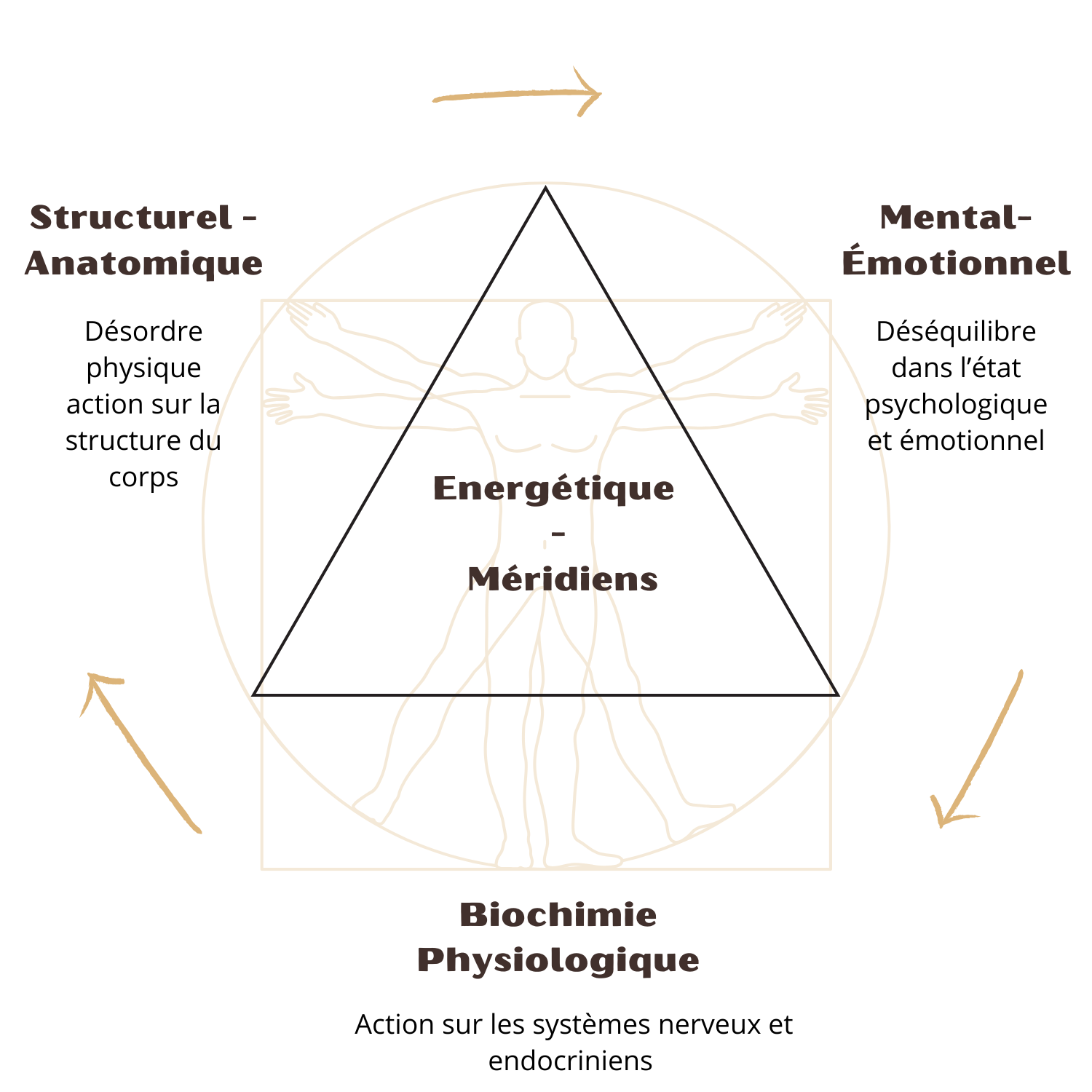 Kinésiologie Clermont ferrand