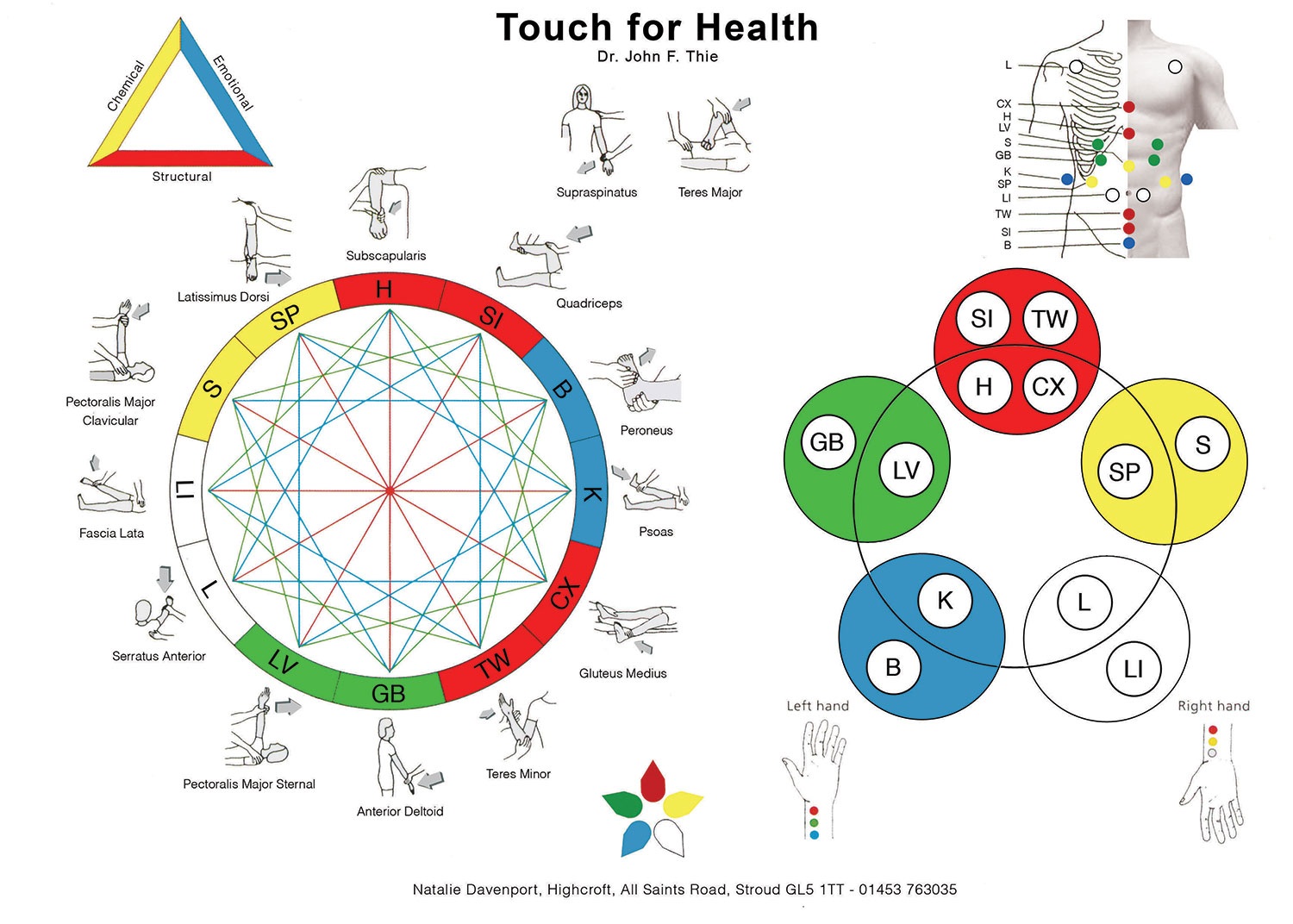 Carousel Kinesiologue 63
