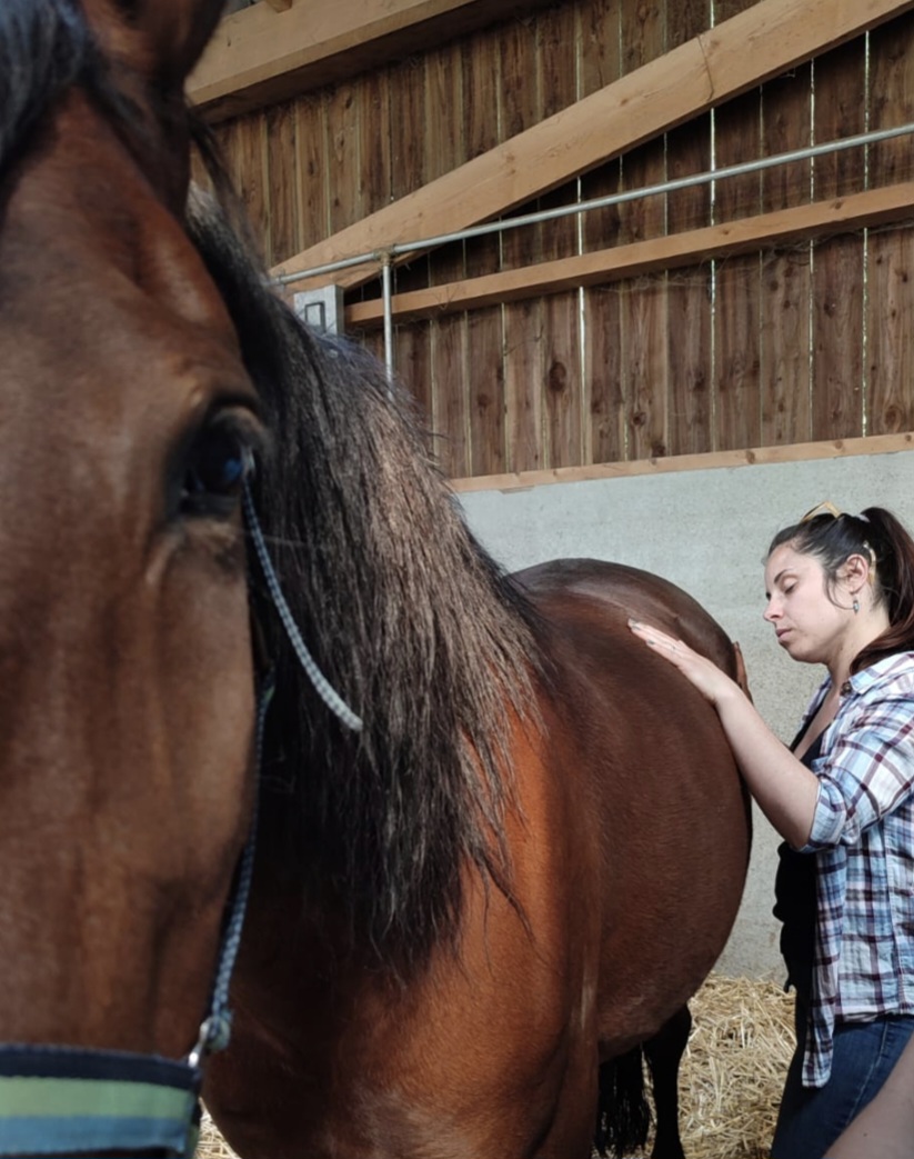 Carousel Kinesiologue 63