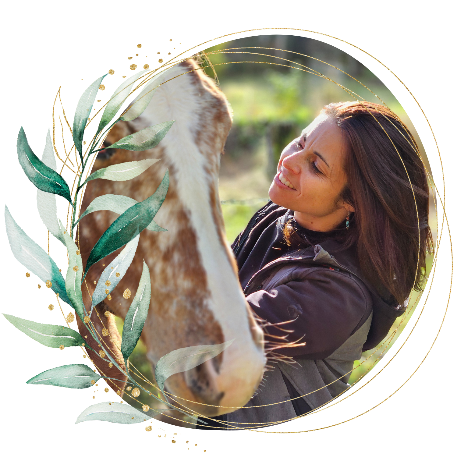 Kinésiologue animal Clermont ferrand