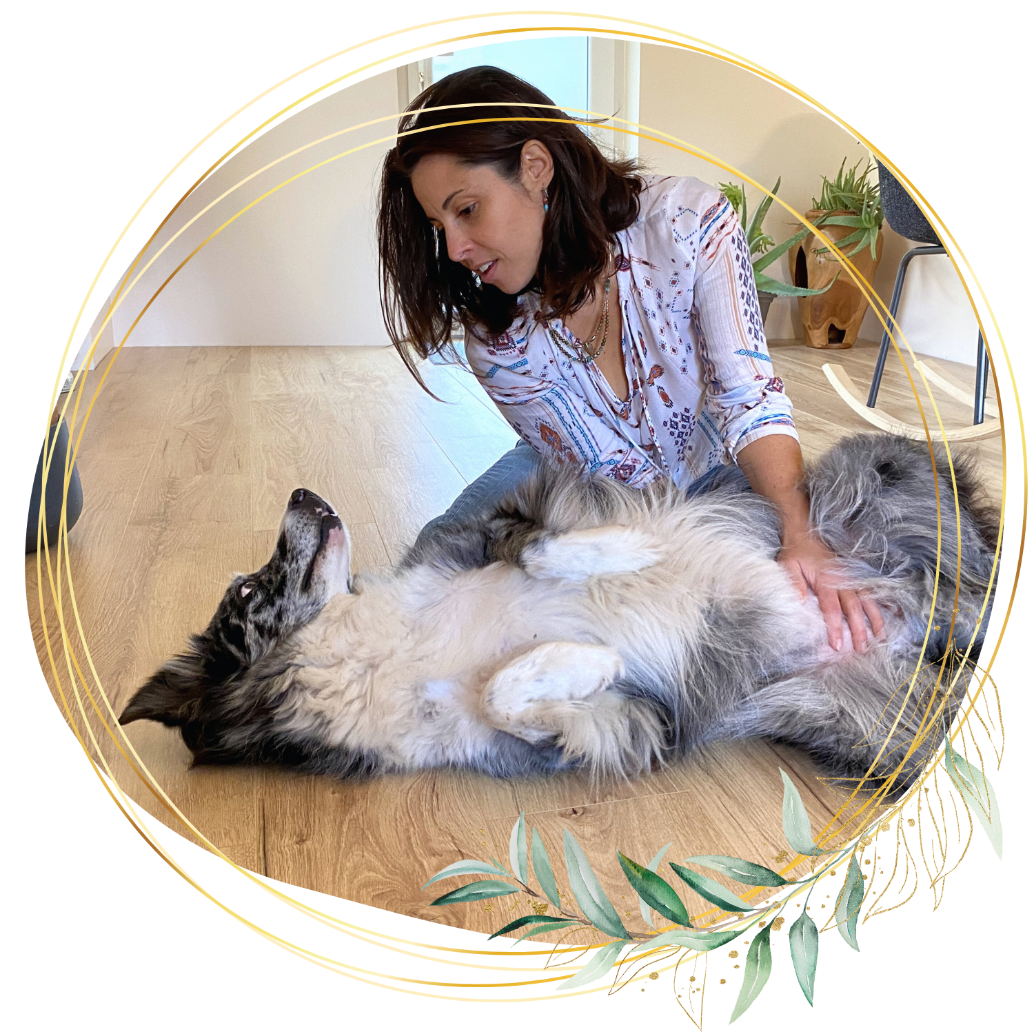 Kinésiologie animale Clermont ferrand