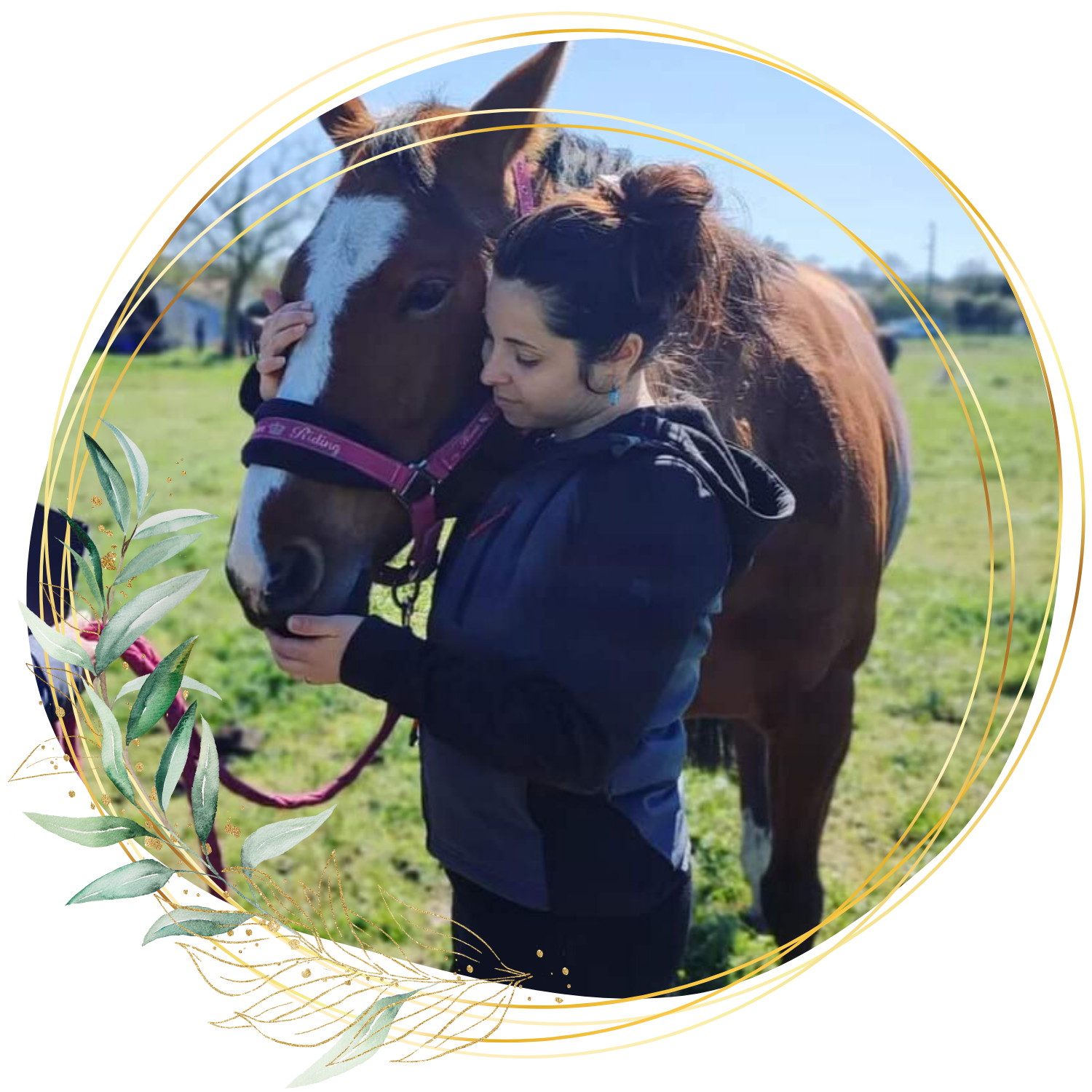 Kinésiologue animal Clermont ferrand