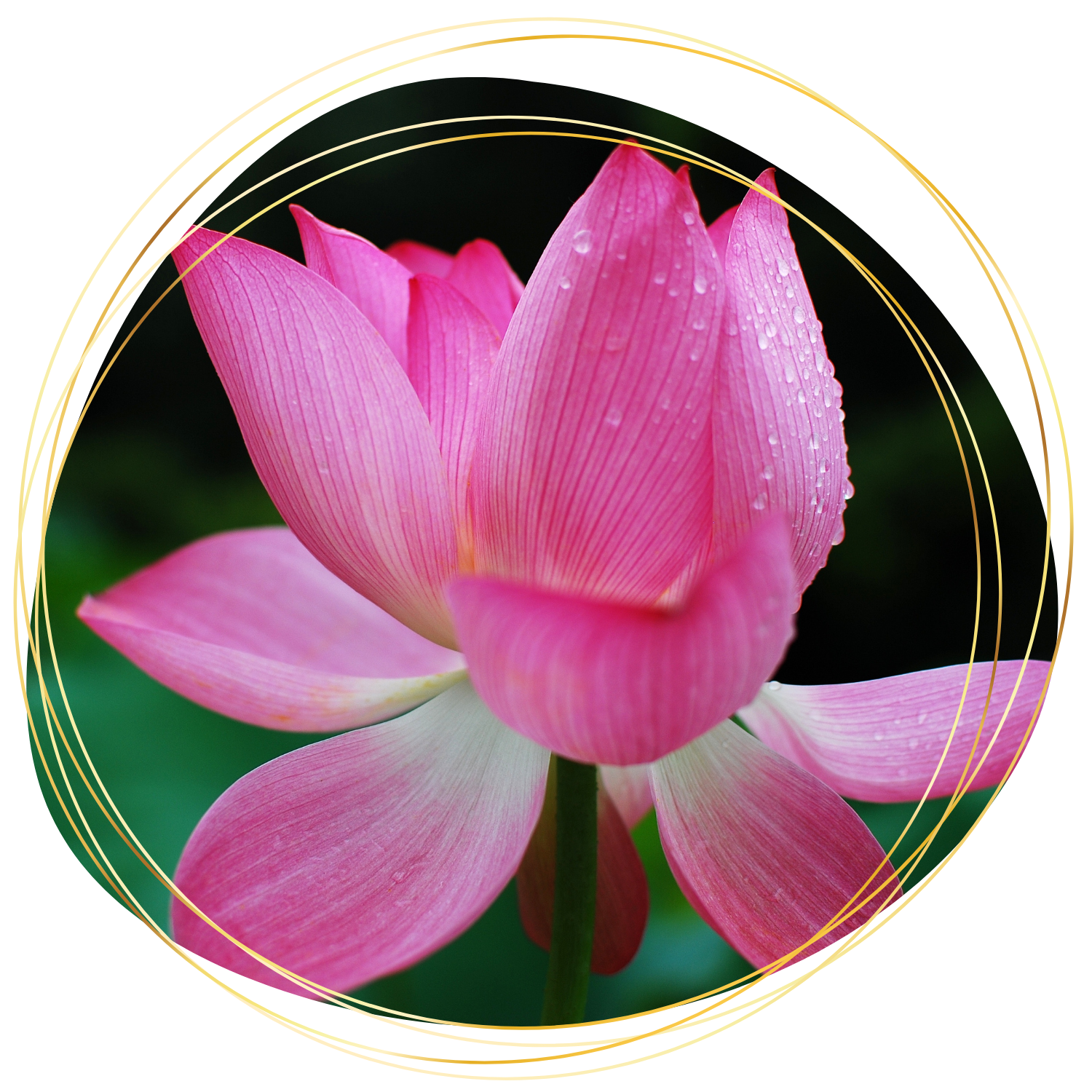 Références kinésiologie Clermont ferrand