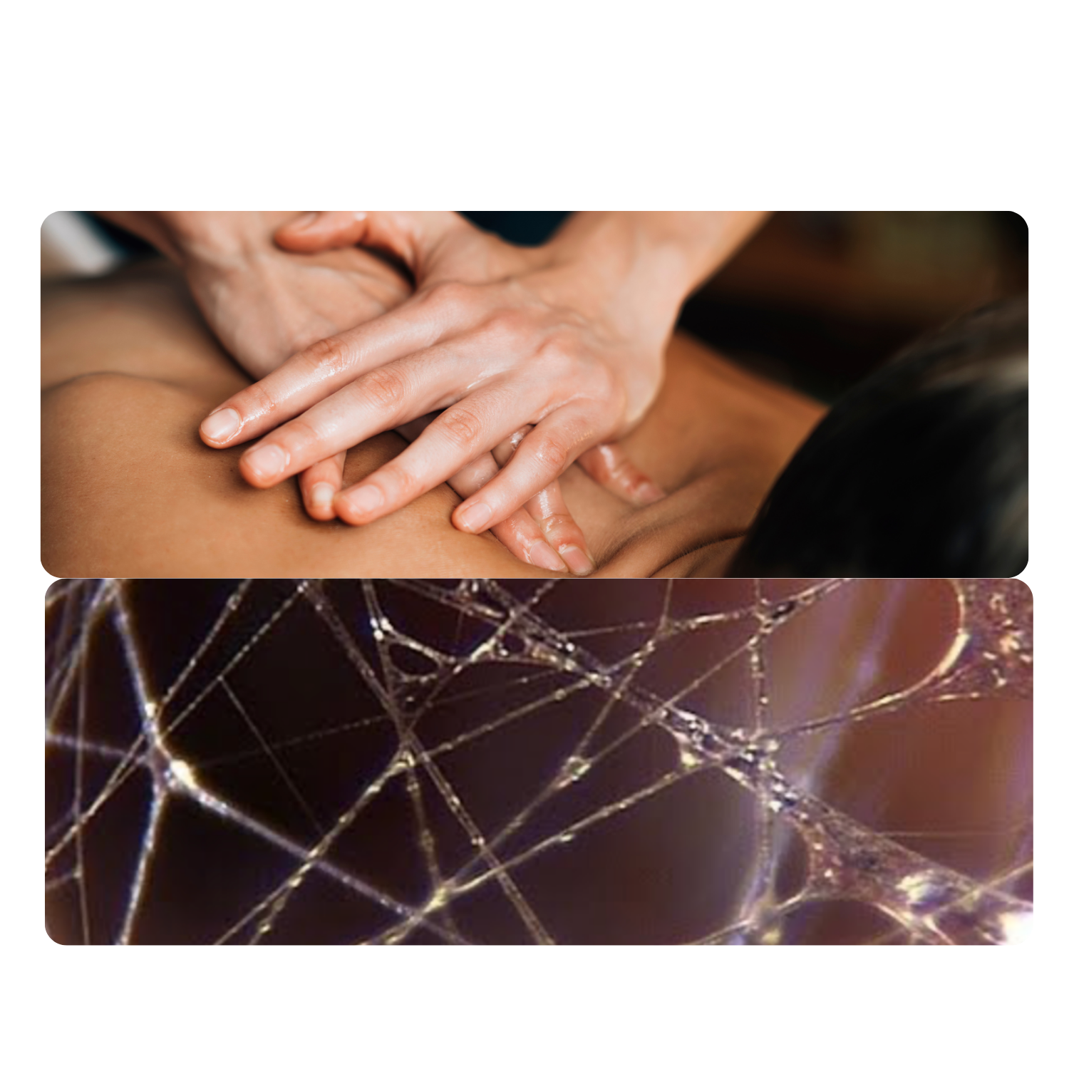 Reflexologie Fascias 63