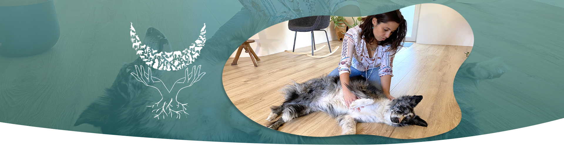 Contact Kinesiologue 63